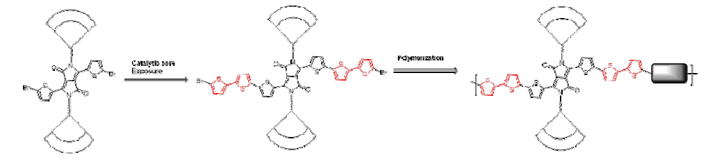 모노머의 core 연장 (bithiophene, terthiophene)