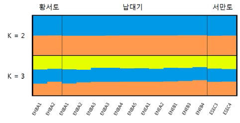 노랑부리백로의 STR마커 기반 Population Struructure 분석 결과