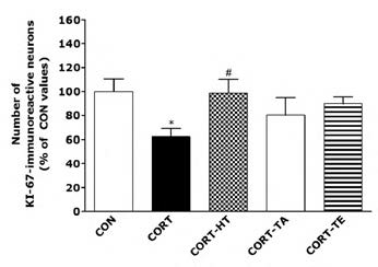 The percentage values of the mean number of KI-67-stained hippocampus.