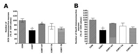 The percentage values of the mean number or NeuN-stained hippocampus.