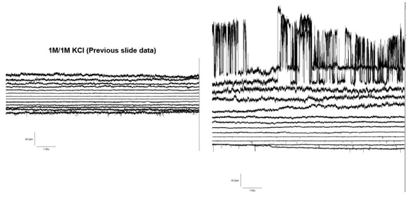 Romo1에 의한 cation selectivity