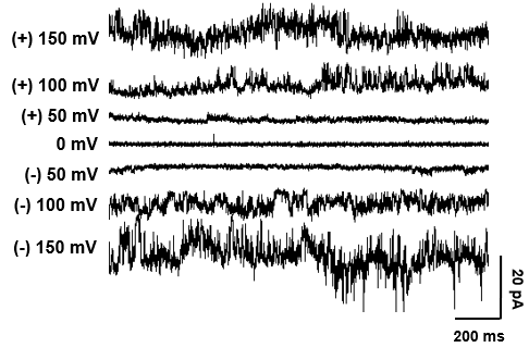 Romo1의 macroscopic signal