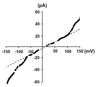 Romo1 macroscopic signal I/V curve