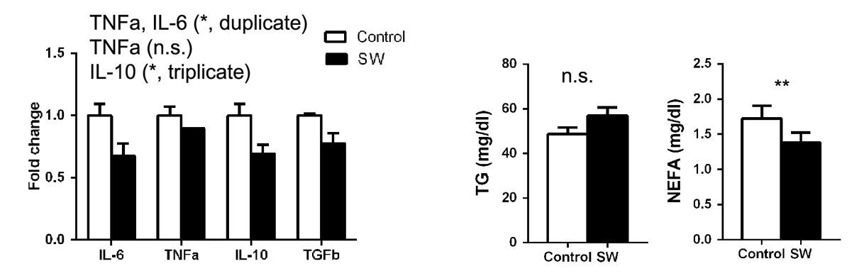 혈중 cytokine 비교 (좌측 패널) 와 혈중 중성지방 (TG) 및 지방산 (NEFA; non-esterified fatty acid) 의 비교