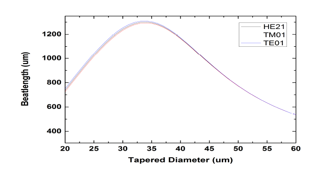 tapered diameter에 따른 beatlength 변화