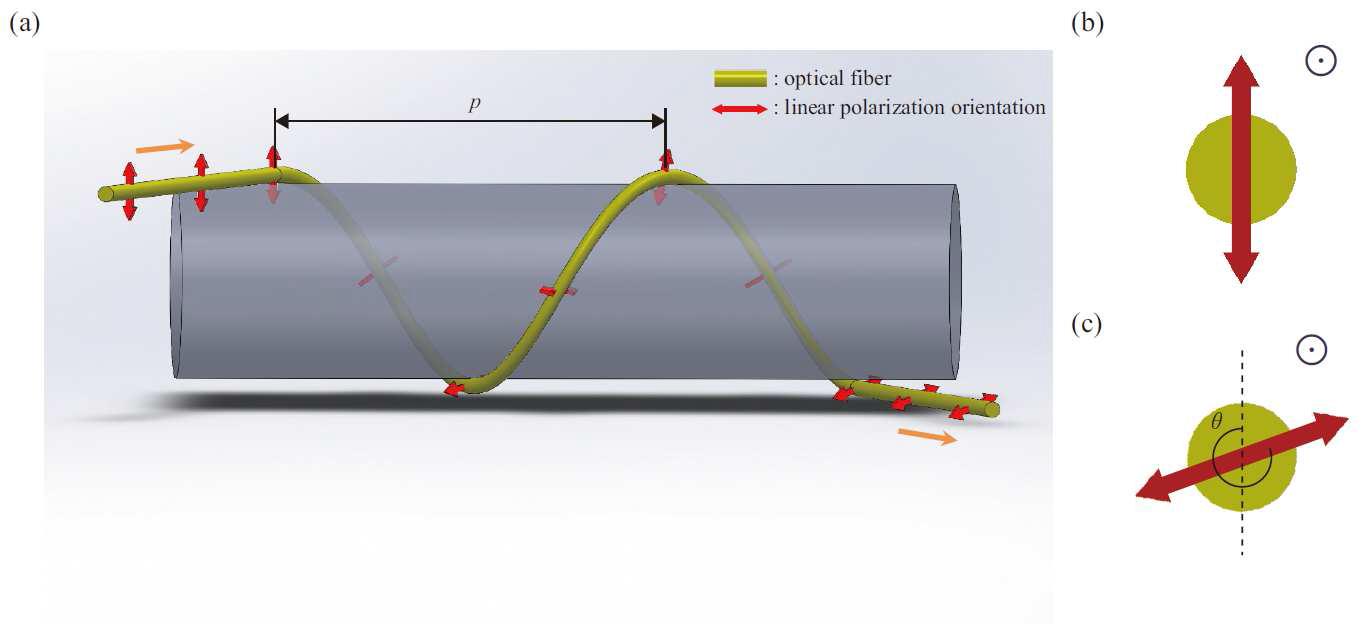 나선 형태로 감긴 광섬유에서의 편광 회전.