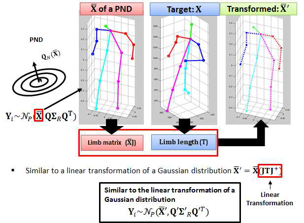 학습된 Procrustean 정규 분포를 선형변환을 통하여 관 절의 길이를 조절하는 방법