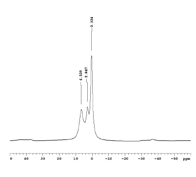 1H MAS NMR Spectrum