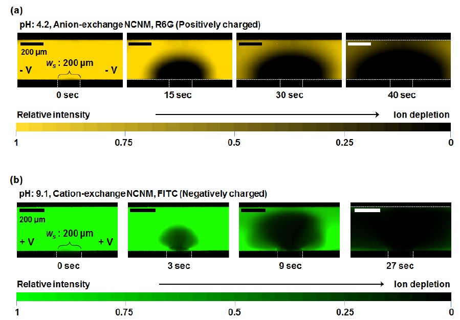 pH변화에 따른 TiO2의 surface charge의 변화 및 그에 따른 이온 선택성 멤브레인의 변화