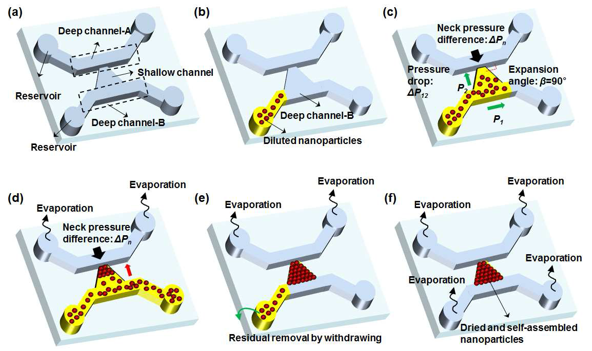 Fabrication process for the in situ formation of nanochannel networks membranes using the self-assembly of particles within the PDMS channel