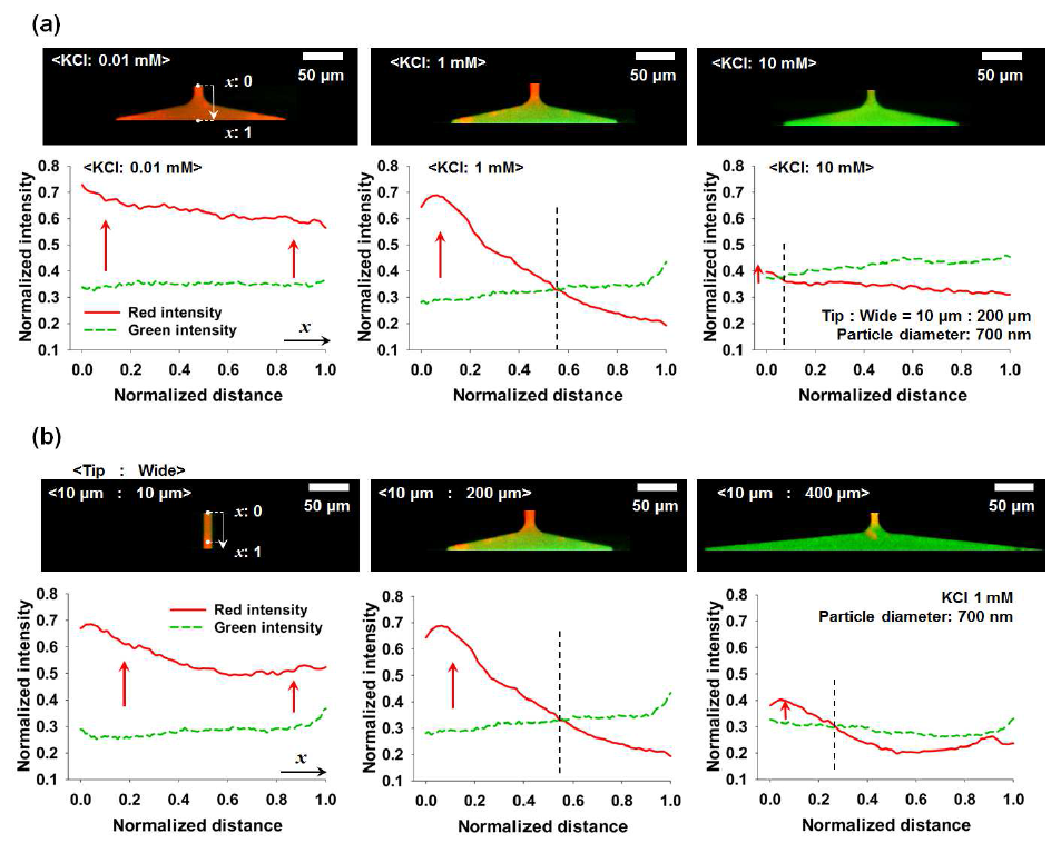 (a) Fluorescence images at different concentrations of KCl bulk solution under the fixed conditions(wt:ww=10:200 μm, Dn=700 nm). (b)Fluorescence images by varying the width of the wide - opening (ww) under the fixed conditions, wt=10 μm and 1mM KCl, with mixed fluorescent dyes.