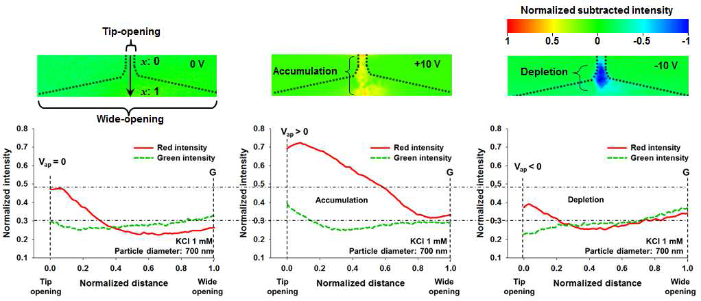 Normalized subtracted intensity images (I1 - I0 : intensity difference between the equilibrium status and the grey-scaled fluorescence image captured 10 s after applying the voltage) and corresponding cation/anion concentration profiles for equilibrium, forward and reverse bias.