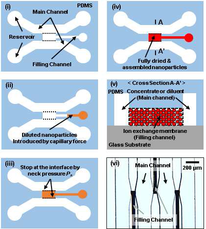 Multilayered microchannel을 이용한 nanochannel networks membranes의 제작 방법 및 multi-cell 고전압 발생장치의 현미경 이미지