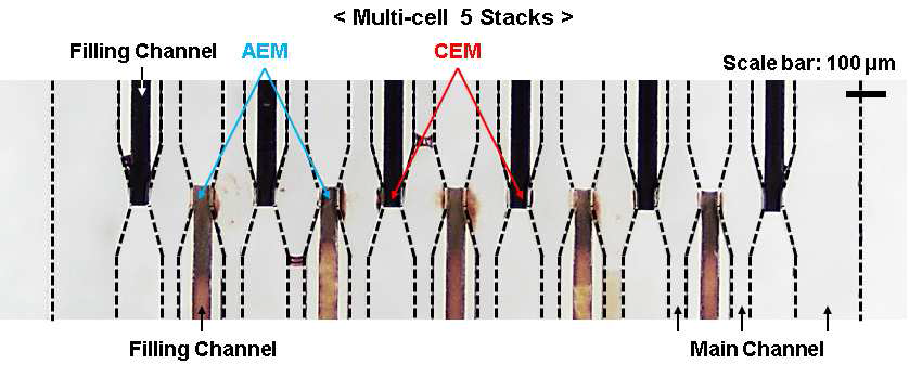 제작된 5-cell 전기 발생장치의 현미경 이미지(사용된 실리카 나노입자의 지름: 160 nm)
