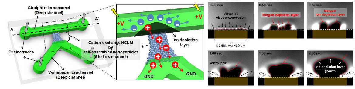 나노 스케일 전기적 특성 분석을 위한 마이크로 플랫폼 및 이온 결핍층(ion depletion layer)
