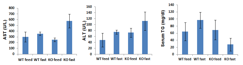 The effect of starvation on Dhrs1 KO mice