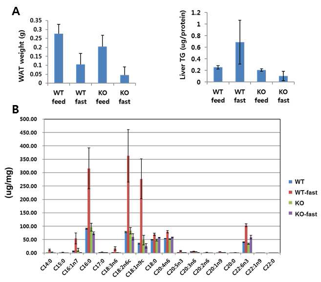 The effect of starvation on Dhrs1 KO mice