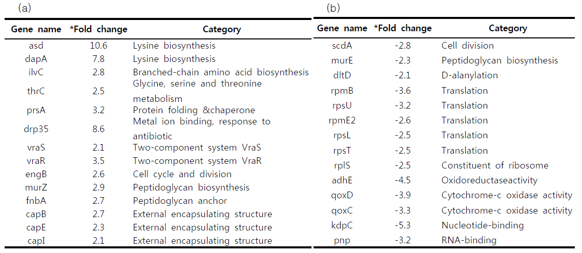 Erythorbyl laurate에 의해 발현이 증가된 유전자(a) 및 감소된 유전자(b)의 요약결과
