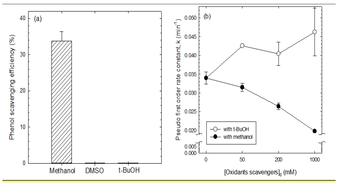 다양한 Probe compound에 의한 scavenging 효율 (a) 및 probe compound 농도에 따른 페놀 분해 반응속도상수 (b) [phenol]0 = 0.1 mM ; [methanol]0 = [t-BuOH]0 = 50, 200, 1000 mM ; [DMSO]0 = 1000 mM ; [Cu(II)]0 = 0.1 mM ; [H2O2]0 = 10 mM ;[HCO3 -]0 = 50 mM ; [pH]0 = 10.0 ; [Reaction time : 2 h]