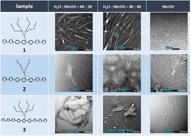 0.0001 wt% (w/v) 1,2,3의 물 + 메탄올 혼합 용액에서의 TEM images