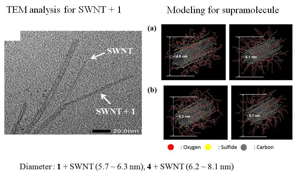 1/4 와 SWNT가 형성하는 supramolecular 구조