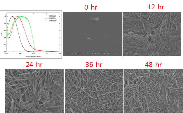 BIH의 흡광 스펙트럼과 시간에 따른 자기조립구조체의 SEM images (THF+Cy)