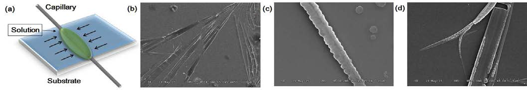 (a) Capillary 방법 모식도, SEM imgages (b) 0.5 mM BIH (c) 0.05 wt% C60 (d) 0.5 mM BIH + 0.05 wt% C60