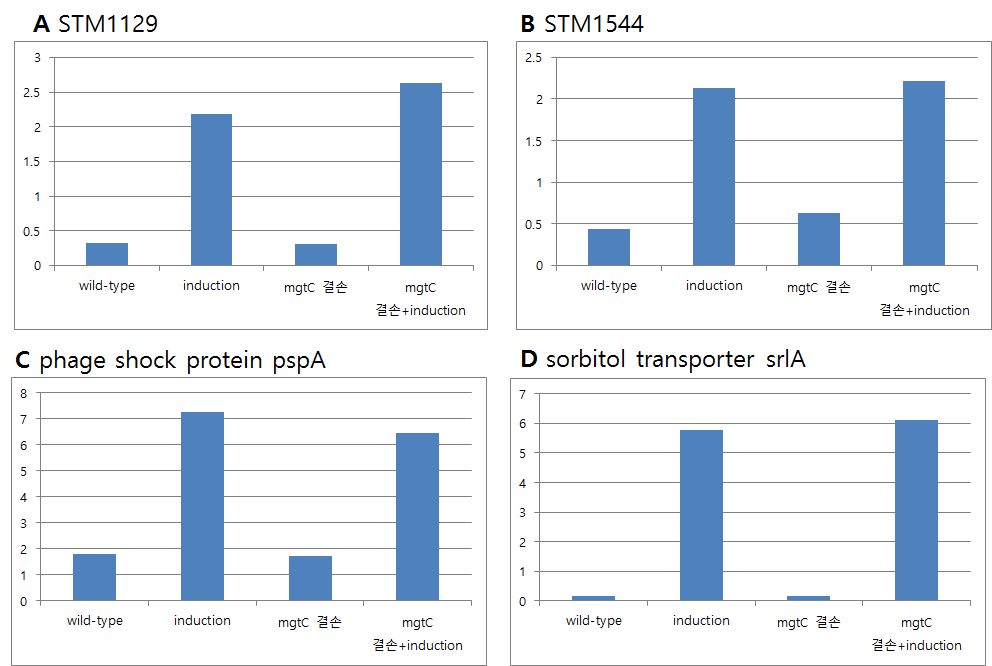 살모넬라균에서 RNA-seq으로 발견한 유전자중 발현 양상이 mgtC에 비의존적인 유전자들의 발현양상