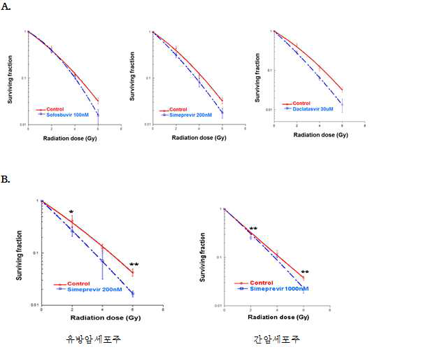 인체유래 뇌교종 세포주, 유방암세포주 및 간암세포주에 항 HCV 약제들을 처리하였을 때 시메프레비르에서 방 사선감작효과가 나타남을 확인하였다