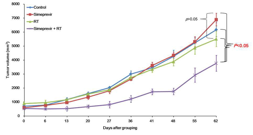 유방암 세포주 BT 474를 이용한 in vivo xenograft model에서 종양 성장 그래프. 대조 군, 시메프레비르 단독군, 방사선치료 단독 군에 비해 시메프레비르 및 방사선치료 병합군에서 종 양의 성장이 억제되는 것을 확인하였다