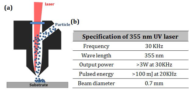 Laser NPDS의 (a) 원리 모식도 및 (b) laser 사양