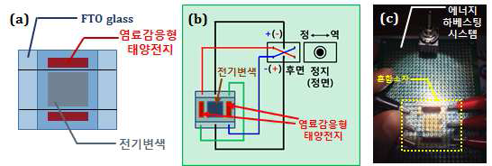 (a)FTO glass 변색 및 태양전지를 통합한 (b)에너지 하베스팅 시스템의 모식도, (c)구동 사진
