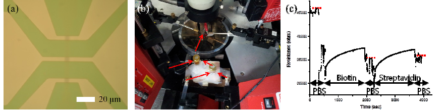 (a) Top-down 방법으로 제작된 실리콘 마이크로선 배열소자, (b) 실리콘 소자와 마이크로 유채 시스탬, (c) Biotin과 streptavidin을 실리콘 마이크로선에 붙음에 따른 저항변화
