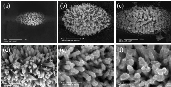 (a, d) 나노선 위에 산화아연 나노구조물을 합성한 결과 SEM 이미지, (b, e) 금 나노입자를 산화아연 나노구조물 위에 코팅한 결과 SEM 이미지, (c, f) 팔라듐 나노입자(또는 나노막)를 산화아연 나노구조물에 코팅한 결과 SEM 이미지