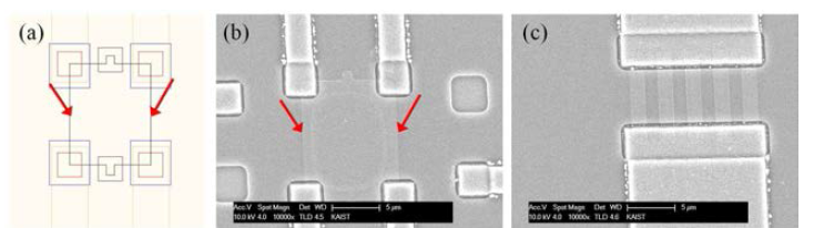 (a) 실리콘 나노선 배열 소자를 만들기 위한 마스크 디자인 및 나노선 생성 영역표시, (b, c) 제작된 실리콘 나노선 배열 소자의 SEM 이미지