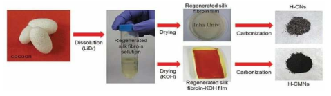 실크단백질로부터 탄소소재 제조의 모식도