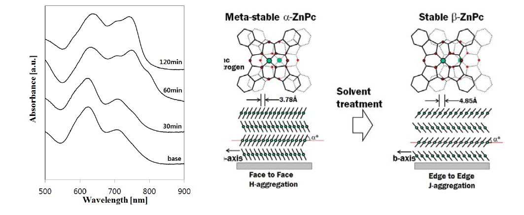 Solvent treatment 시간에 따른 ZnPc 박막의 흡수 스펙트럼 및 분자결정 구조 변화 도식