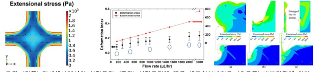 (왼쪽) 미세채널에서의 신장응력; (중간) 신장응력에 따른 세포치사변형율; (오른쪽) 버블터짐에 의한 신장응력의 형성