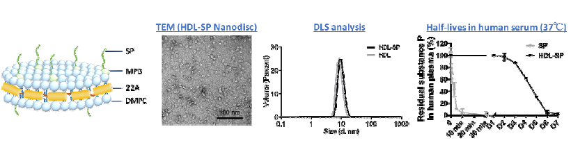 HDL-SP 나노파티클 합성, 분석 및 인간 혈청 내 반감기 확인
