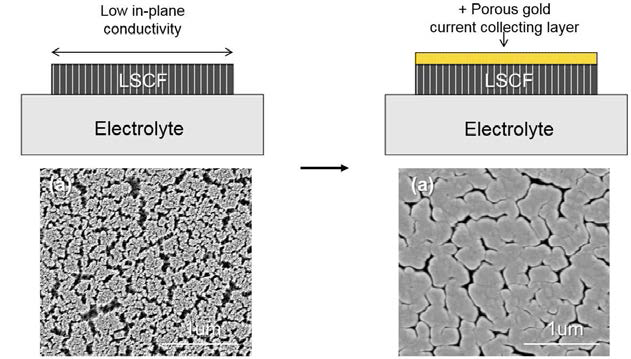 집전 손실 개선 도식 및 실제 전자현미경 상면사진