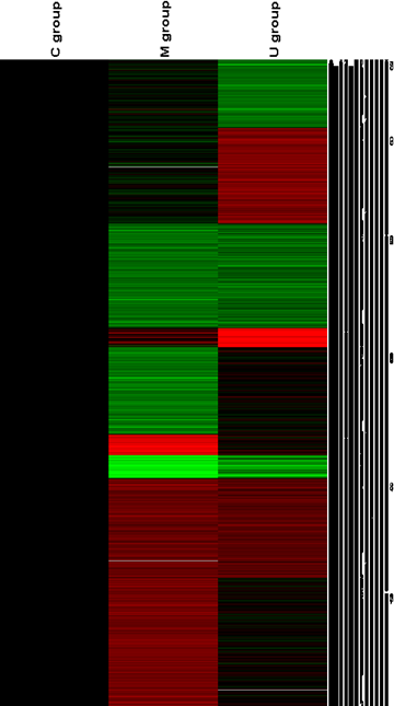 Microarray analysis