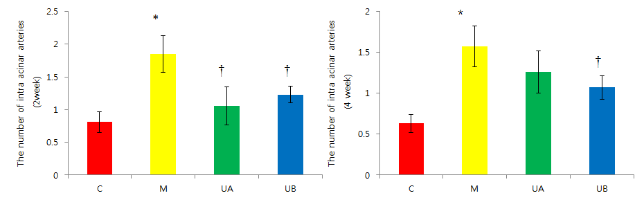 Number of iintraacinar artery.