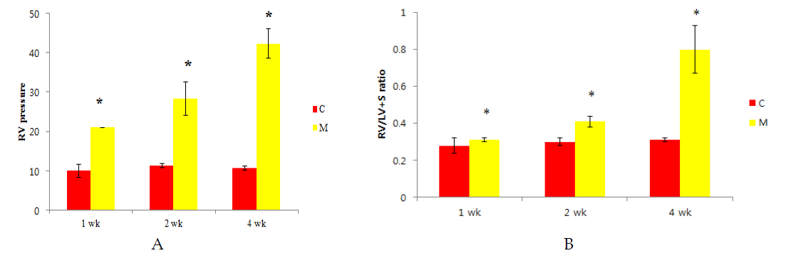 Changes of ET-1, ERA, VEGF, and Bcl-2 in the lung tissues.