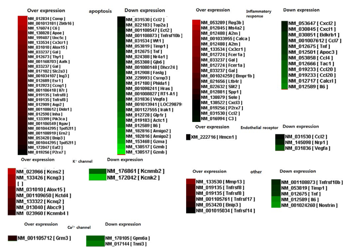 Microarray analysis after umbilical mesenchymal stem cells treatment.