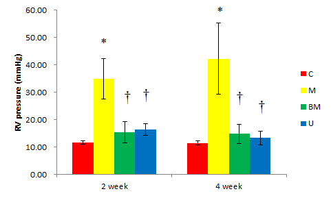 Comparison of RV pressure between BM MSC and UCB-MSC