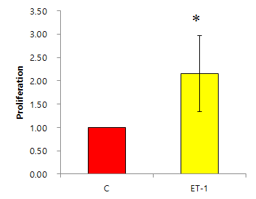 Increased proliferation by ET-1.