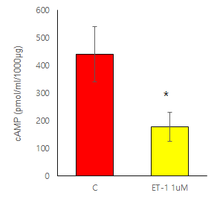 ET-1 induced downregulation of cAMP in PASMCs.