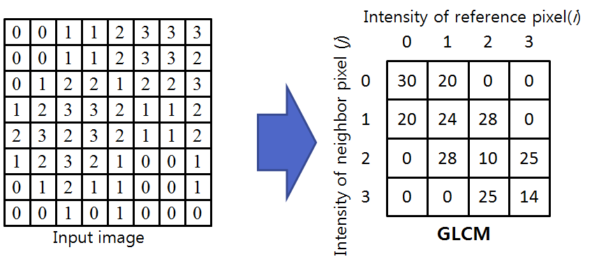 주어진 입력영상(왼쪽)에서 GLCM(오른쪽)을 계산.