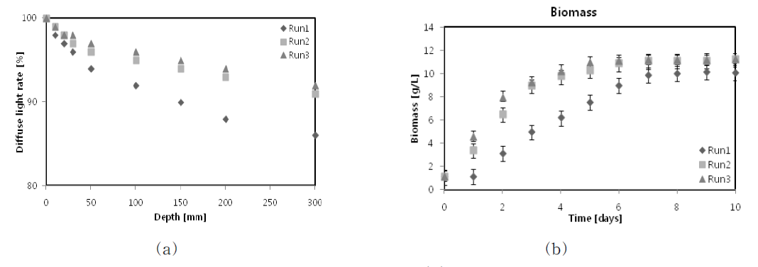 Comparison of diffuse light rate in OPPBR (a) and the average of biomass profiles for Run 1, Run 2 and Run 3 (b)