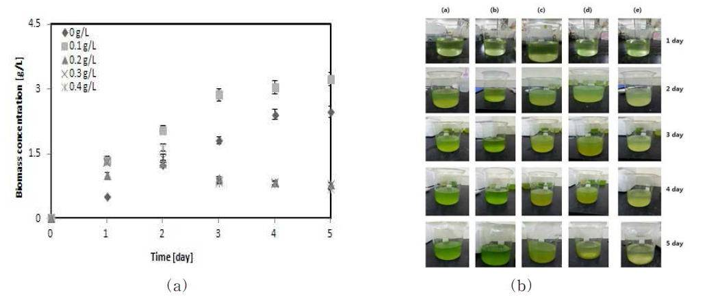 Comparison of biomass concentration using various iron concentration (a) and biomass growth process by various iron(II) sulphate concentration in 5 days (a: 0 g/L, b: 0.1 g/L, c: 0.2 g/L, d: 0.3 g/L, e: 0.4 g/L) (b)